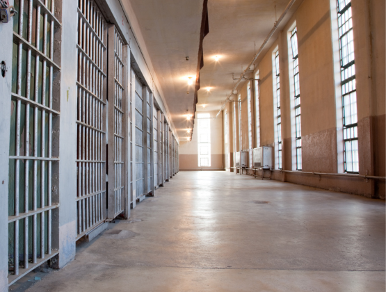Case Study: Public Safety