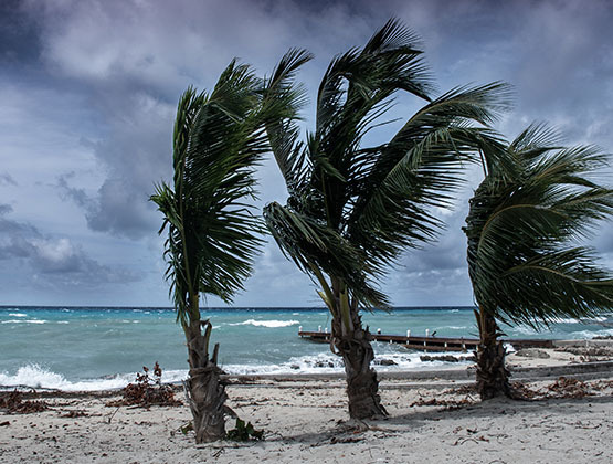 Preparing Your Business for the 2025 Hurricane Season