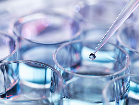 Stephens Investment Banking Expands Health and Life Sciences Capabilities with Two Sector Bankers