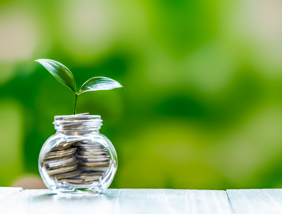 Lost or Forgotten Retirement Accounts? There’s Now a Database for That.