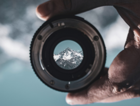 Key Voices and Insights from 2025