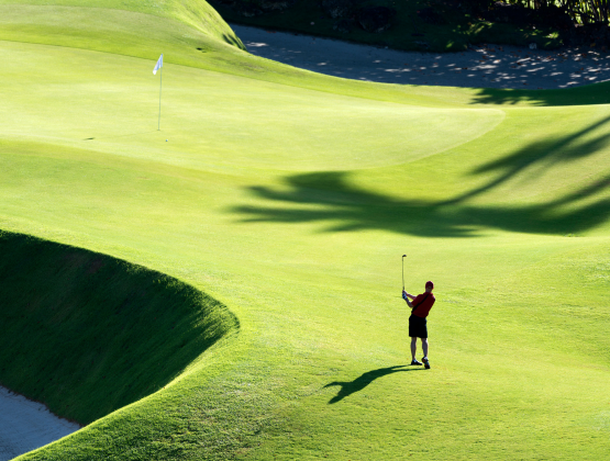 Stephens Inc. Announces Multi-Year Sponsorship of PGA Tour professional Nico Echavarria