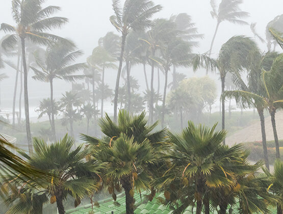 26hurricane-555x420.jpg