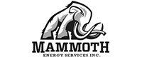 Mammoth Energy Services, Inc.